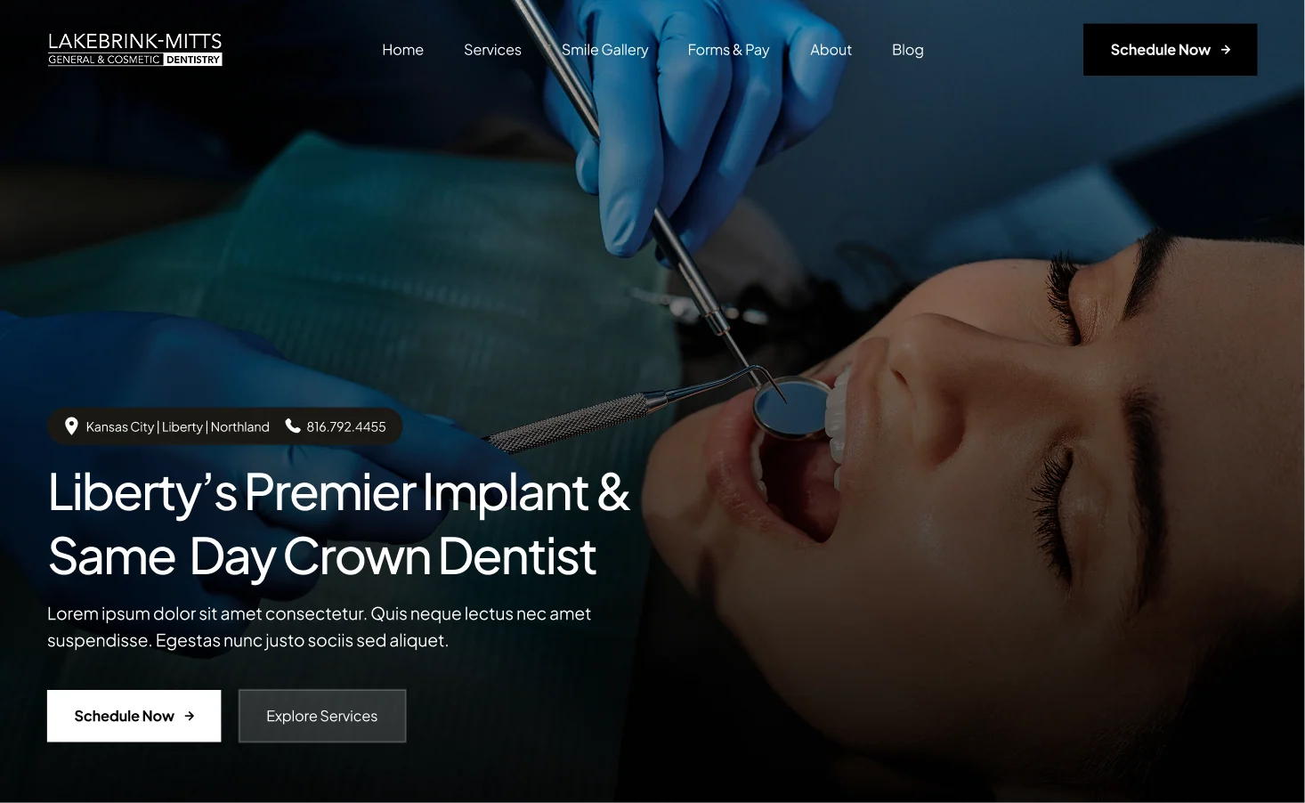 Lakebrink & Mitts — Web design